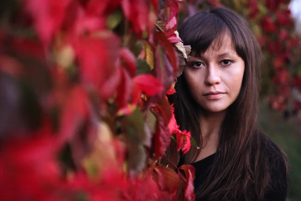 Jolie belle fille sur la forêt d'automne — Photo