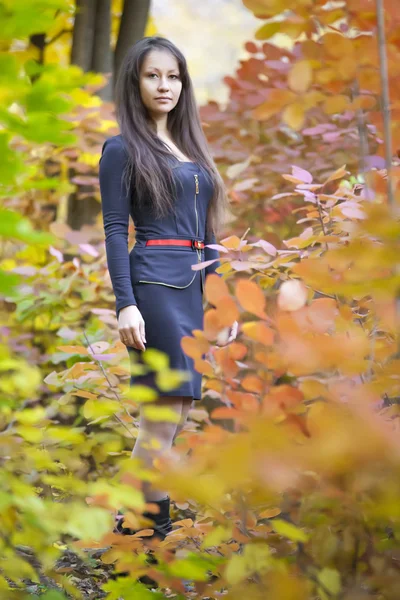 Красива дівчина в зеленому лісі — стокове фото