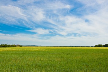 Güzel doğa. Bahar manzara