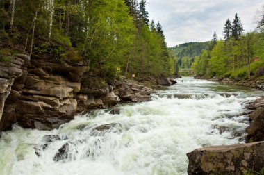 Prut Nehri ve şelale Probiy Karpatlar, Ukrayna