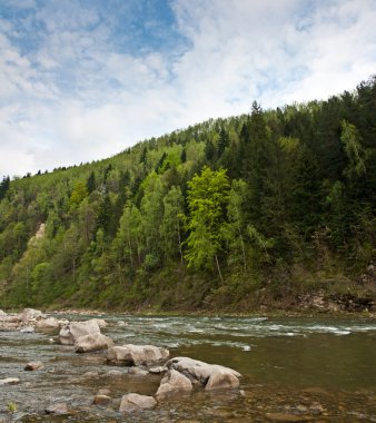 Nehir bahar dağlarında Karpatlar