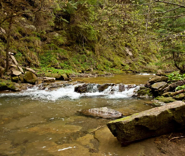 De bergrivier — Stockfoto