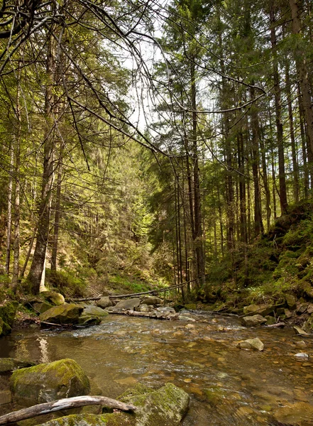 Horské řeky krajina — Stock fotografie