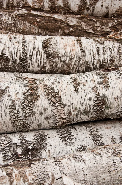 The birch firewood background — Stock Photo, Image