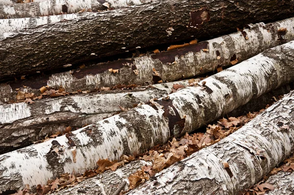 The birch firewood — Stock Photo, Image