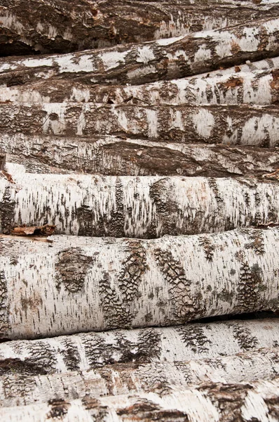 The birch firewood — Stock Photo, Image