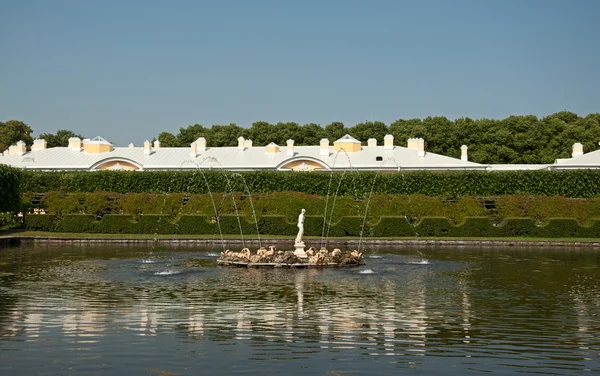 Fountaine στο Peterhof, Αγία Πετρούπολη, Ρωσία — Φωτογραφία Αρχείου