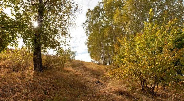 Vackra soliga hösten — Stockfoto