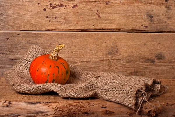 Autumn pumpkin — Stock Photo, Image