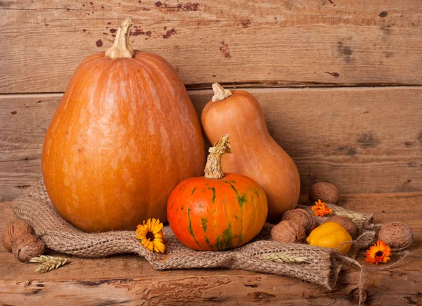 Autumn harvest — Stock Photo, Image