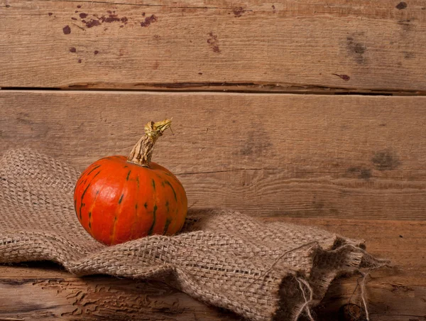 Autumn pumpkin — Stock Photo, Image