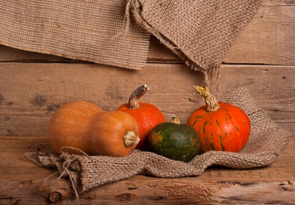 Autumn pumpkins — Stock Photo, Image