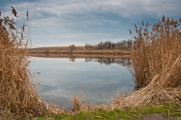 Autumn landscape — Stock Photo, Image