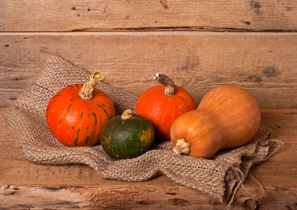 Récolte automnale de citrouilles — Photo