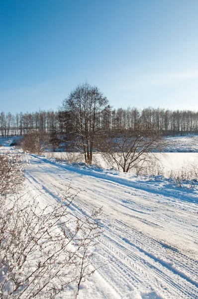 Paisagem inverno — Fotografia de Stock