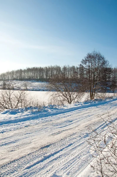 Paesaggio invernale — Foto Stock