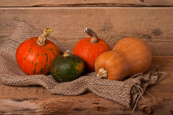 Autumn pumpkins — Stock Photo, Image