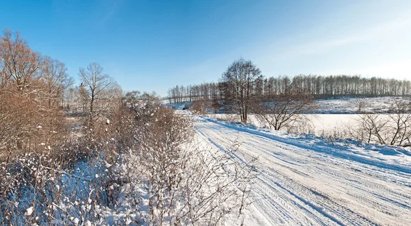 Paisaje invierno — Foto de Stock