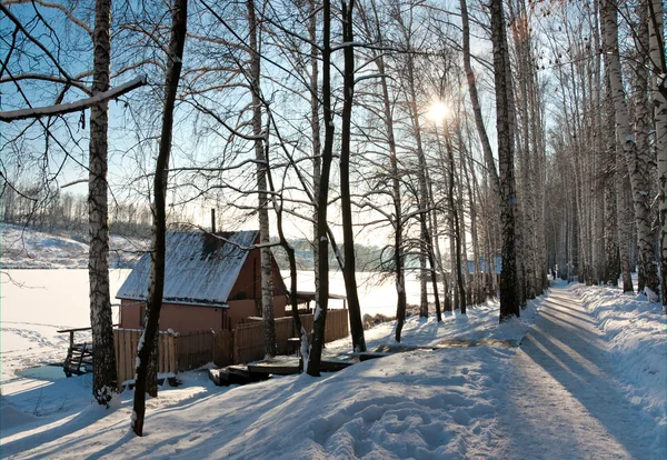 Paisagem inverno — Fotografia de Stock