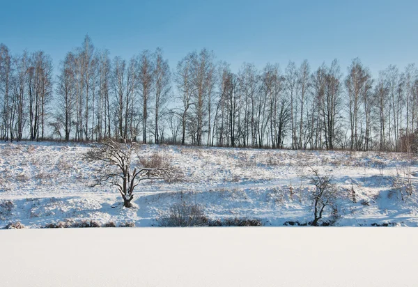 Paesaggio invernale — Foto Stock