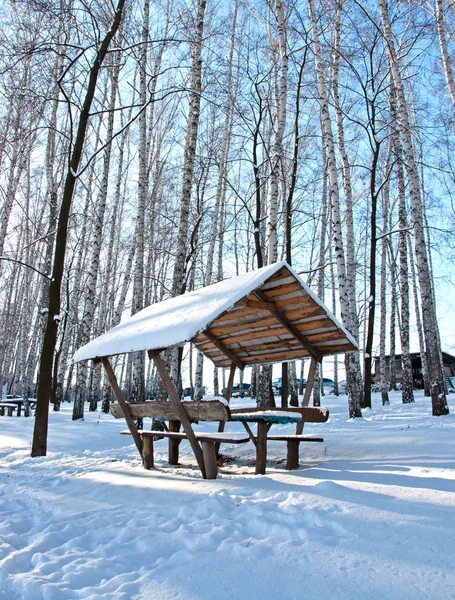 Winter landscape — Stock Photo, Image