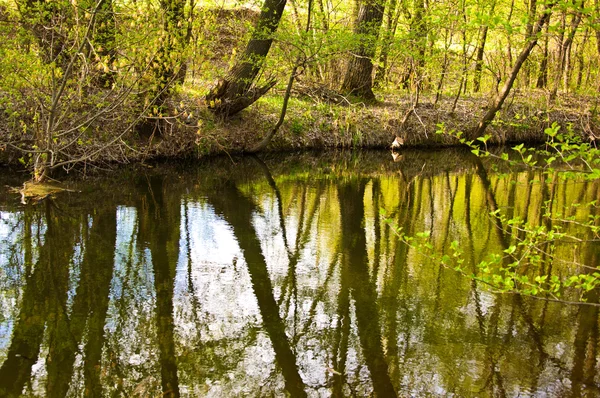 Spring landscape — Stock Photo, Image