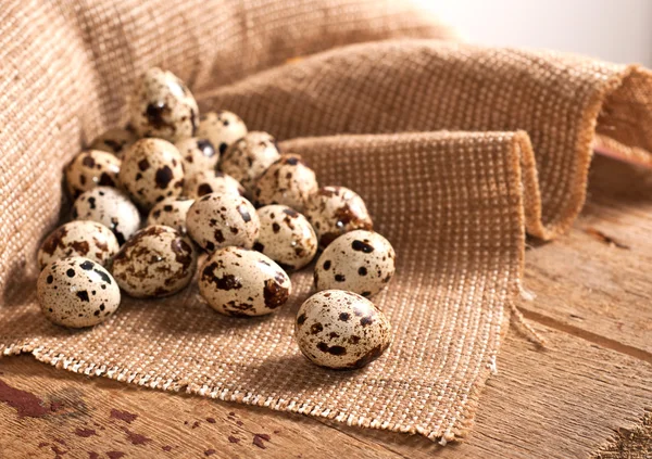 Quail eggs — Stock Photo, Image