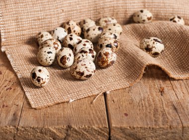 bıldırcın yumurtası tablo