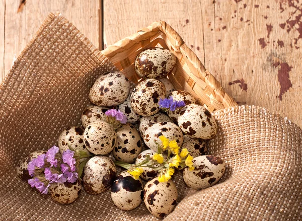 Uova di quaglia e fiori — Foto Stock