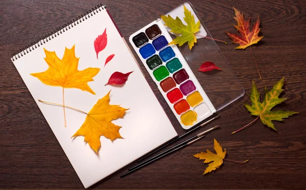 Album, paints, brushes and autumn leaves — Stock Photo, Image