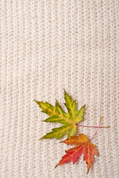 Beautiful Autumn background — Stock Photo, Image