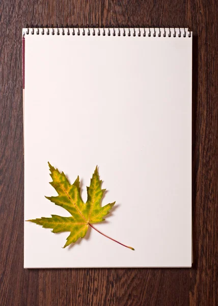 Maple leaf on a page of notepad — Stock Photo, Image