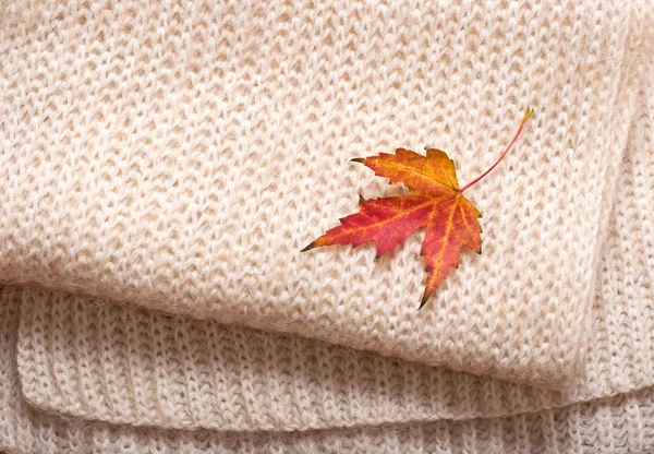 Feuille d'automne fond — Photo