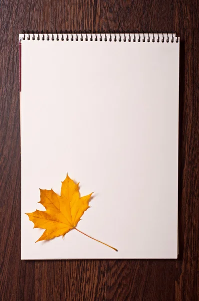 Autumn white background — Stock Photo, Image