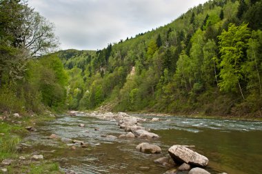 Prut Nehri Yaremche, Karpatlar, Ukrayna