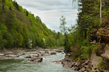 Prut Nehri yakınında Güz Probiy Yaremche, Karpatlar, Ukrayna