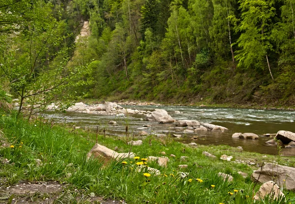 Gyönyörű folyó hegyekbe tavasszal — Stock Fotó