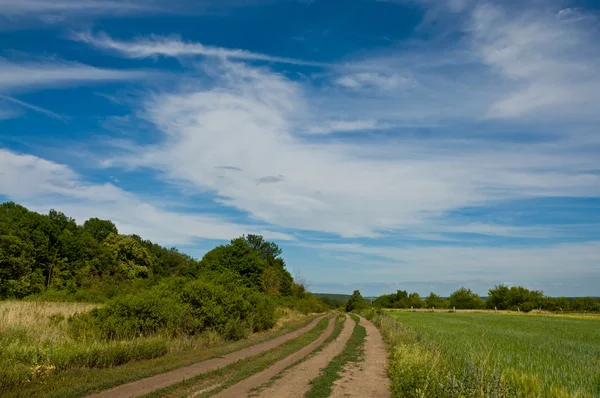 Uma estrada de terra — Fotografia de Stock