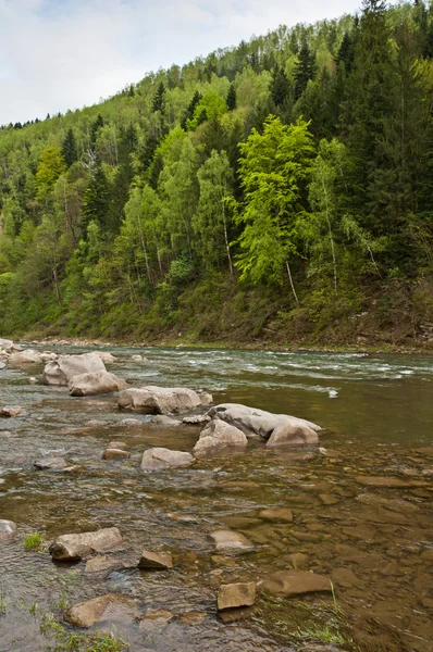 Hory řeka na jaře — Stock fotografie