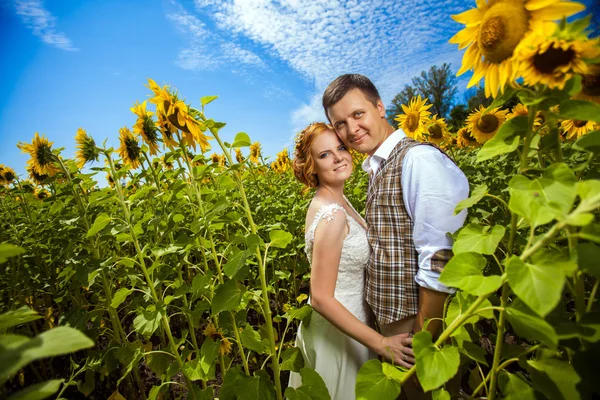 Happy embracing couple on the sunflowers field background. — Stock Photo, Image