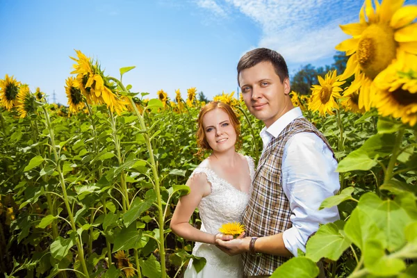 Feliz casal abraçando no fundo do campo de girassóis . — Fotografia de Stock