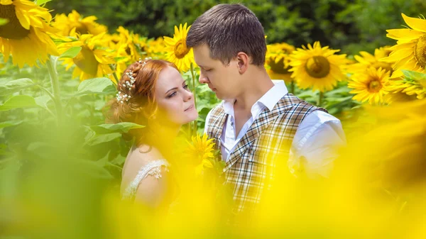 Gelukkige omhelst paar op de achtergrond van de zonnebloemen van een veld. — Stockfoto