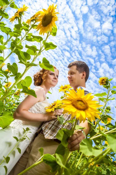 Gelukkige omhelst paar op de achtergrond van de zonnebloemen van een veld. — Stockfoto