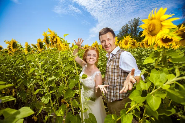 Pareja feliz se divierte en el fondo del campo de girasoles . —  Fotos de Stock