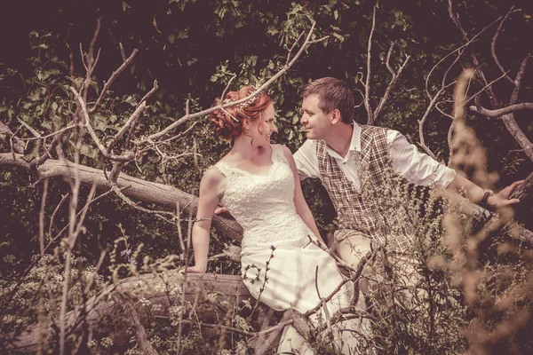 Casal feliz está sentado no ramo da árvore velha no b rural — Fotografia de Stock