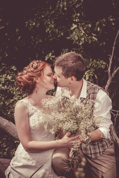 Felice coppia di baci è seduto sul ramo del vecchio albero sul — Foto Stock