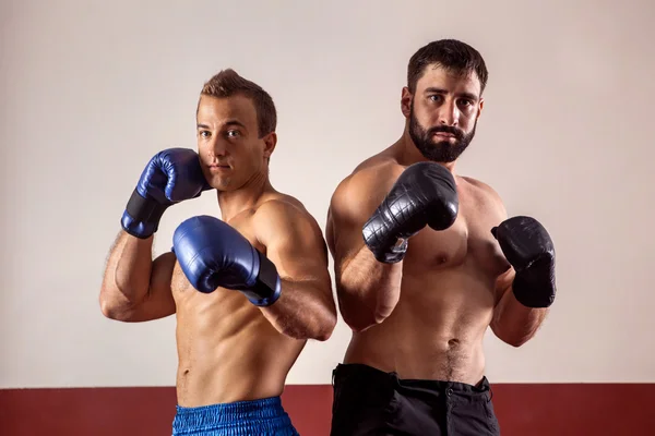 М'язисті боксери в боксерських рукавичках готові до бою . — стокове фото