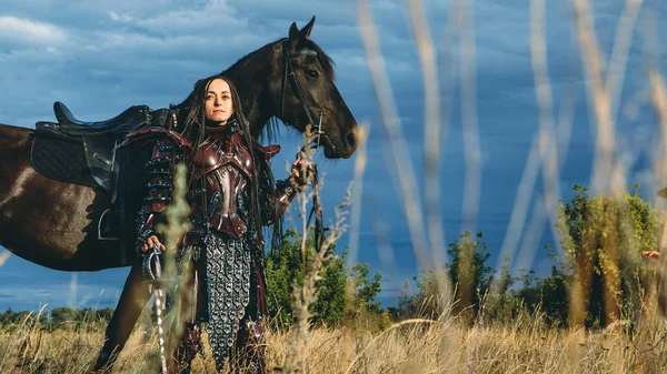 Zırhlı Şövalye Kadın Ile Günbatımı Tarlalarına Karşı — Stok fotoğraf