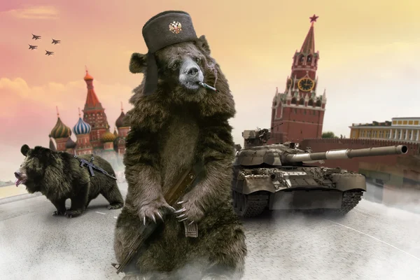 Rosyjski niedźwiedzi z broni Kałasznikowa na placu czerwonym. — Zdjęcie stockowe