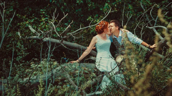 Happy kissing couple is sitting on the branch of old tree on the — Stock Photo, Image